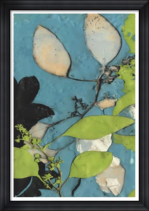 Framed Leaf Extraction I Print