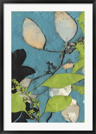 Framed Leaf Extraction I Print