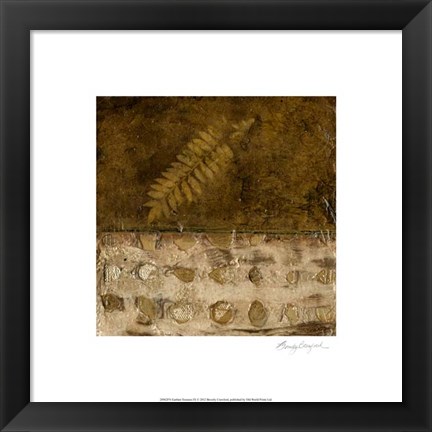 Framed Earthen Textures IX Print