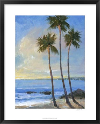 Framed Tropical Breeze II Print