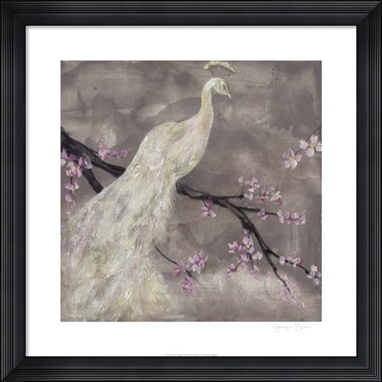 Framed Peacock Serenity I Print