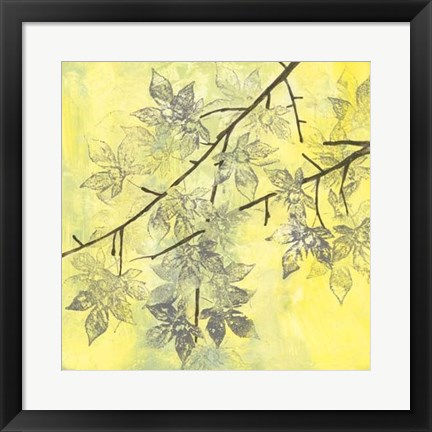 Framed Fluttering Maple II Print