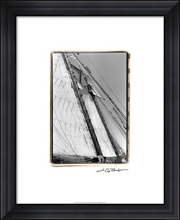 Framed Set Sail I Print