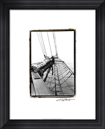 Framed Set Sail IV Print
