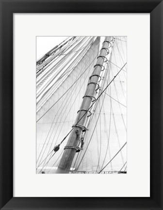 Framed Set Sail VI Print