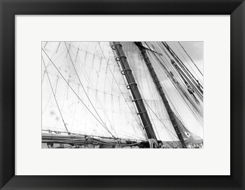 Framed Under Sail III Print
