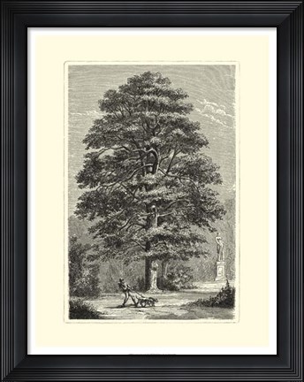Framed B&amp;W Terry's Trees I Print