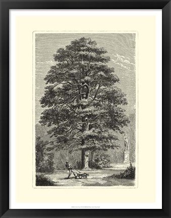 Framed B&amp;W Terry&#39;s Trees I Print