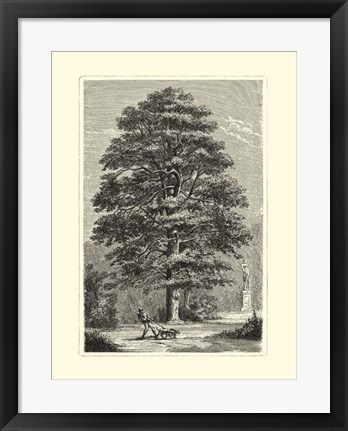 Framed B&amp;W Terry&#39;s Trees I Print