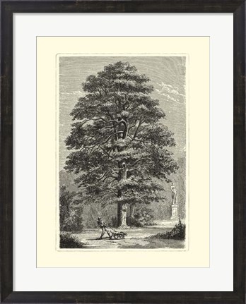 Framed B&amp;W Terry&#39;s Trees I Print