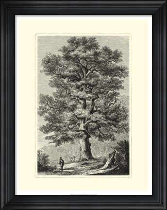Framed B&amp;W Terry's Trees II Print