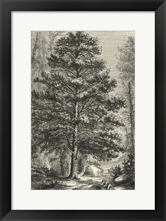 Framed B&amp;W Terry&#39;s Trees III Print