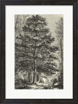 Framed B&amp;W Terry&#39;s Trees III Print