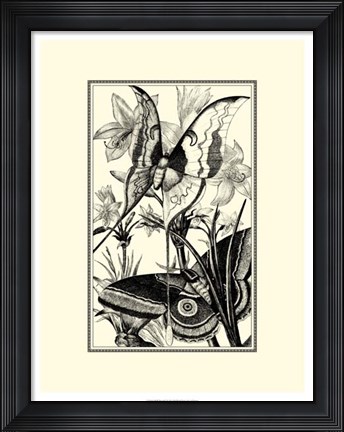 Framed B&amp;W Butterfly I Print