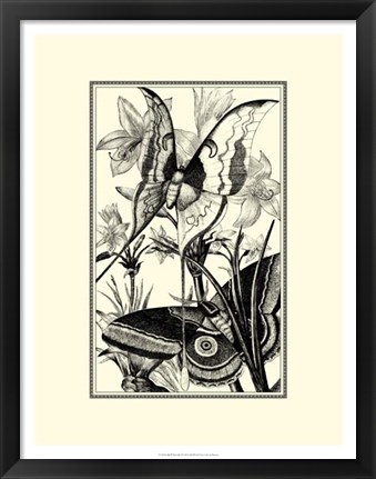 Framed B&amp;W Butterfly I Print
