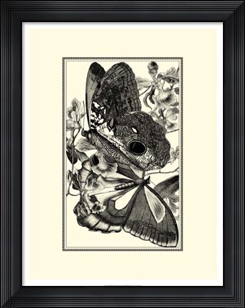 Framed B&amp;W Butterfly IV Print
