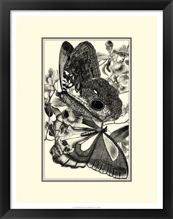 Framed B&amp;W Butterfly IV Print