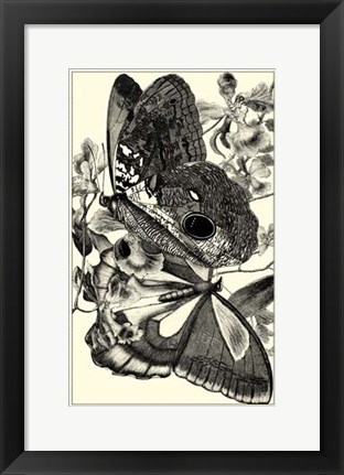 Framed B&amp;W Butterfly IV Print