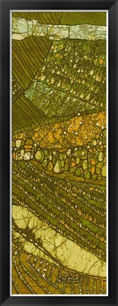 Framed Vineyard Batik II Print