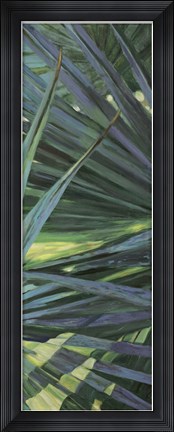 Framed Fan Palm II Print