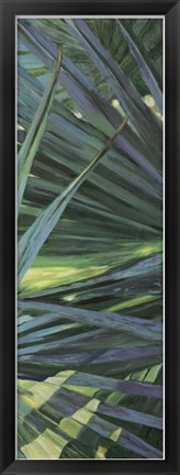 Framed Fan Palm II Print