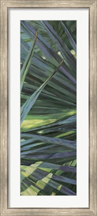 Framed Fan Palm II Print