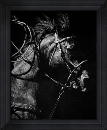 Framed In Pursuit Print