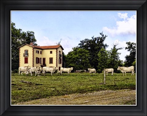 Framed Cow Palace Print