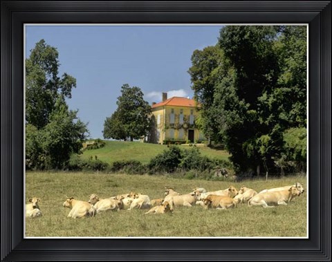 Framed Happy Antiquanes Print