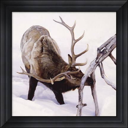 Framed Slim Pickings Print