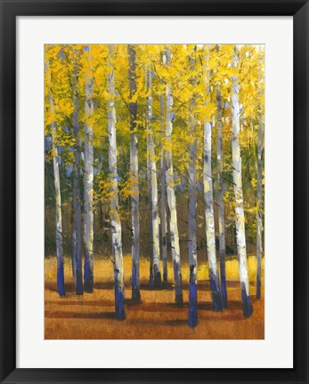 Framed Fall in Glory II Print