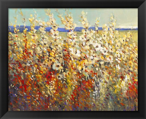 Framed Field of Spring Flowers II Print