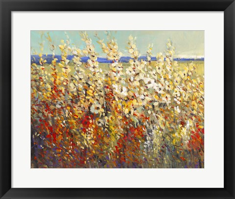 Framed Field of Spring Flowers II Print