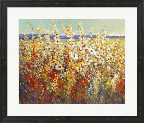 Framed Field of Spring Flowers II Print