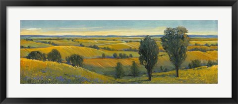 Framed Picturesque Scene II Print