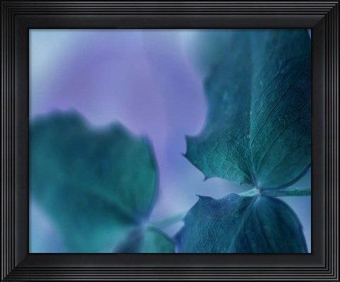 Framed Intricacies II Print