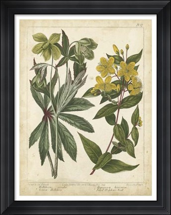 Framed Non-Embellish Enchanted Garden III Print