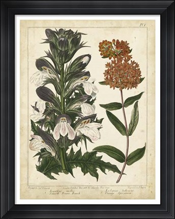 Framed Non-Embellish Enchanted Garden IV Print