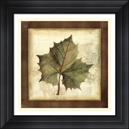 Framed Rustic Leaves I - No Crackle Print
