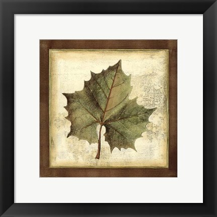 Framed Rustic Leaves I - No Crackle Print