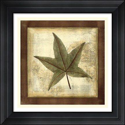 Framed Rustic Leaves II - No Crackle Print