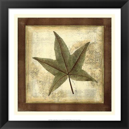 Framed Rustic Leaves II - No Crackle Print