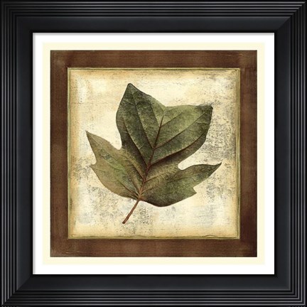 Framed Rustic Leaves III - No Crackle Print