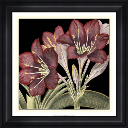 Framed Dramatic Blossoms I Print