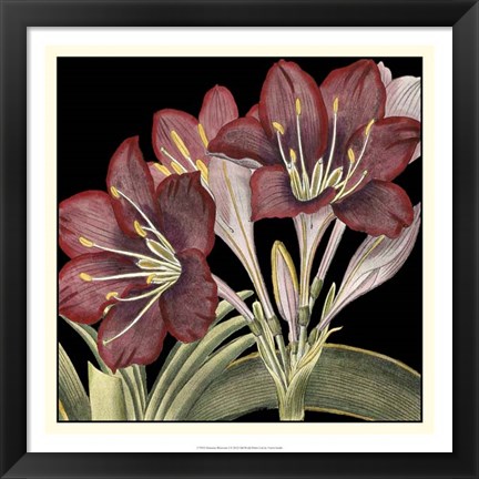 Framed Dramatic Blossoms I Print