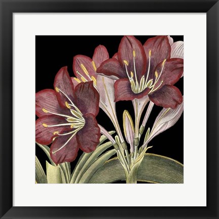 Framed Dramatic Blossoms I Print