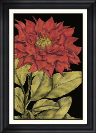 Framed Radiance I Print