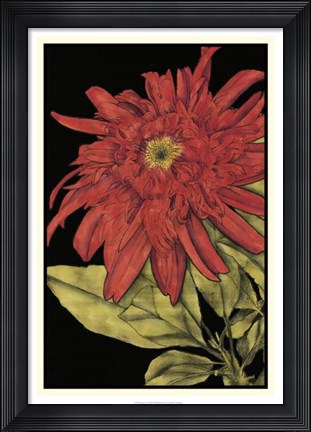 Framed Radiance II Print