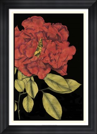 Framed Radiance III Print