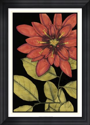 Framed Radiance IV Print